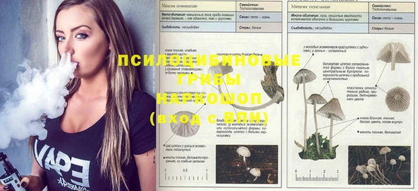 марки nbome Наволоки