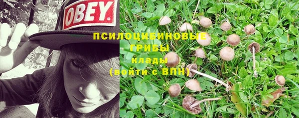 ALPHA-PVP Нефтекумск