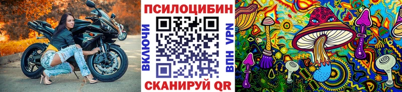 Псилоцибиновые грибы Cubensis Покровск