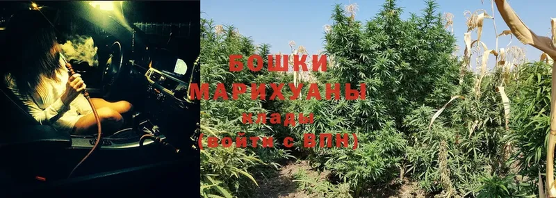 Марихуана White Widow  МЕГА сайт  Покровск 